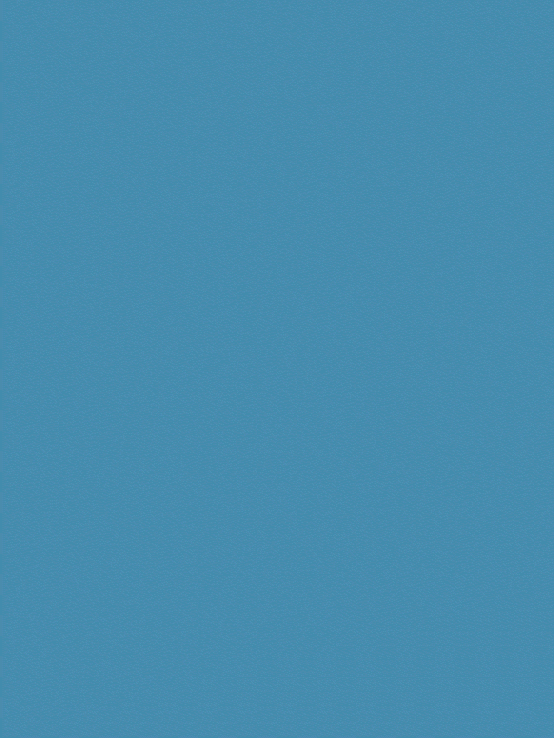 animation logo idaos